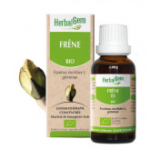 Frêne bourgeon 50 ml Bio - Fraxinus excelsior Macérat - Herbalgem - Gemmothérapie - 1-Extrait de bourgeon de Frêne Bio - 30 ml - Herbalgem