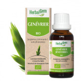 Genevrier bourgeon Bio -  Juniperus communis Macérat - 50 ml - Herbalgem - Gemmothérapie - 1-Extrait de bourgeon de Genevrier Bio - 30 ml - Herbalgem