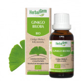 Ginkgo biloba 30 ml Bio - Herbalgem - Les bourgeons unitaires - 1-Extrait de bourgeon de Ginkgo biloba 30 ml Bio - Herbalgem