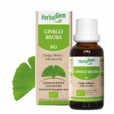 Ginkgo biloba 30 ml Bio - Herbalgem - Les bourgeons unitaires - 1-Ginkgo biloba 50 ml Bio - Herbalgem