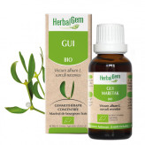 Gui bourgeon Bio - Viscum album Macérat - 30 ml - Herbalgem - Gemmothérapie - 1-Extrait de bourgeon de Gui Bio - 30 ml - Herbalgem