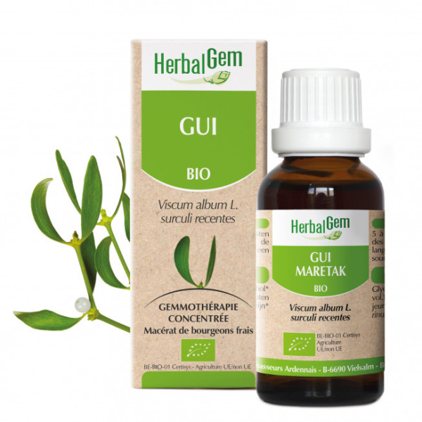 Gui bourgeon Bio - Viscum album Macérat - 30 ml - Herbalgem - Gemmothérapie - 1