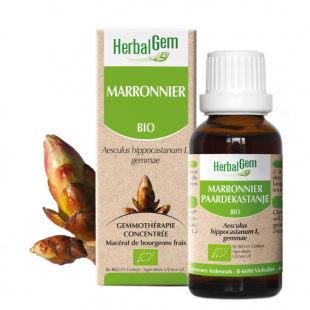 Marronnier bourgeon Bio - Aesculus hippocastanum Macérat - 15 ml - Herbalgem - Gemmothérapie - 1 Marronnier bourgeon Bio - Aesculus hippocastanum Macérat - 15 ml - Herbalgem - Gemmothérapie - 1