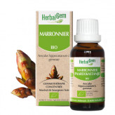 Marronnier bourgeon Bio - Aesculus hippocastanum Macérat - 30 ml - Herbalgem - Gemmothérapie - 1-Extrait de bourgeon de Marronnier Bio - 30 ml - Herbalgem