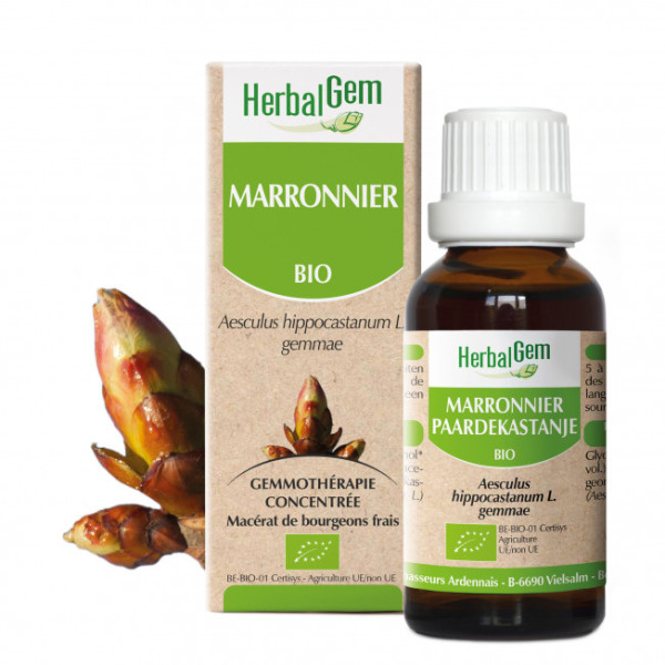 Marronnier bourgeon Bio - Aesculus hippocastanum Macérat - 50 ml - Herbalgem - Gemmothérapie - 1
