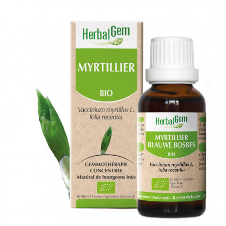 Myrtillier bourgeon Bio - Vaccinium myrtillus Macérat - 50 ml - Herbalgem - Gemmothérapie - 1