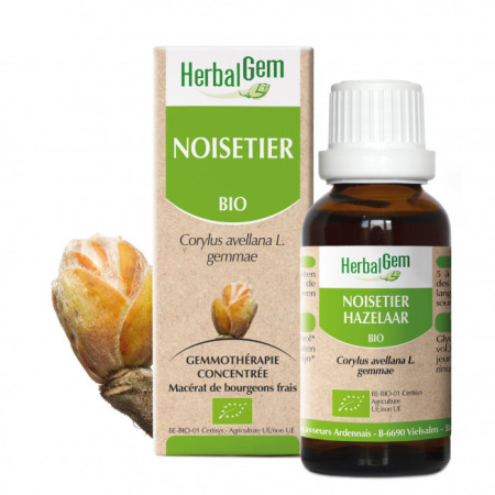 Noisetier  Bourgeons Bio - Corylus avellana Macérat - 30 ml - Herbalgem - Gemmothérapie - 1