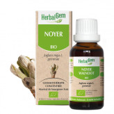 Noyer bourgeon Bio - Juglans regia Macérat - 50 ml - Herbalgem - Gemmothérapie - 1-Extrait de bourgeon de Noyer Bio - 30 ml - Herbalgem