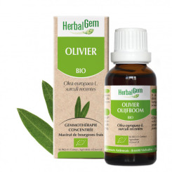 Olivier bourgeon Bio - Olea europaea Macérat - 30 ml Herbalgem - Gemmothérapie - 1