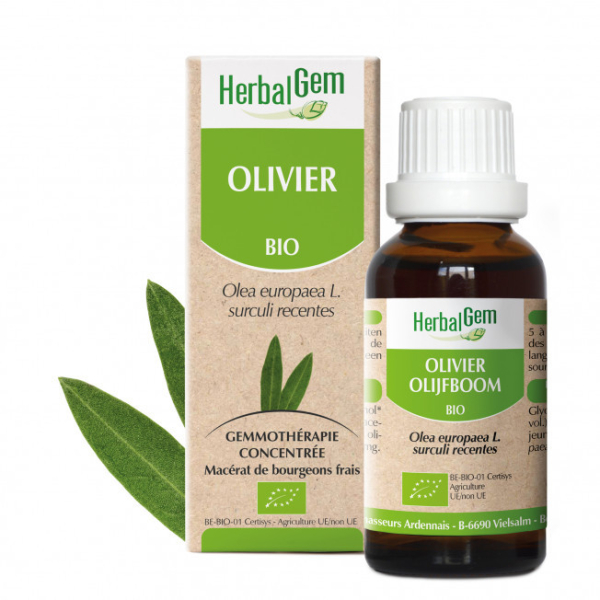 Olivier bourgeon Bio - Olea europaea Macérat - 50 ml Herbalgem - Gemmothérapie - 1