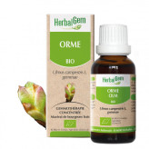 Orme bourgeon 50 ml Bio - Herbalgem - Gemmothérapie - 1