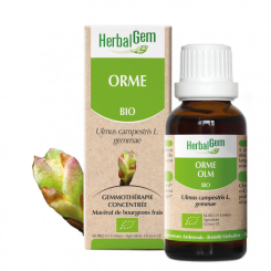 Ulmenknospe 50 ml Bio - Herbalgem - Gemmotherapie - 1
