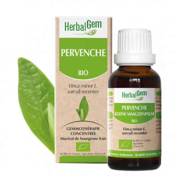 Pervenche bourgeon Bio - Vinca minor Macérat - 50 ml Bio - Herbalgem - Gemmothérapie - 1