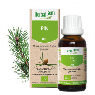 Pin bourgeon 15 ml Bio - Pinus montana Macérat - Herbalgem - <p><span>Pinus montana - Macérat glycériné - Le bourgeon du cartila