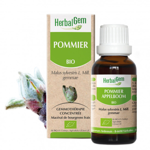 Pommier bourgeon Bio - Malus communis Macérat - 50 ml - Herbalgem - Gemmothérapie - 1