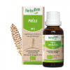 Prêle bourgeon Bio - Equisetum arvense Macérat - 30 ml - Herbalgem - Gemmothérapie - 1