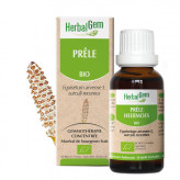 Prêle bourgeon Bio - Equisetum arvense Macérat - 30 ml - Herbalgem - Gemmothérapie - 1-Extrait de bourgeon de Prêle Bio - 30 ml - Herbalgem