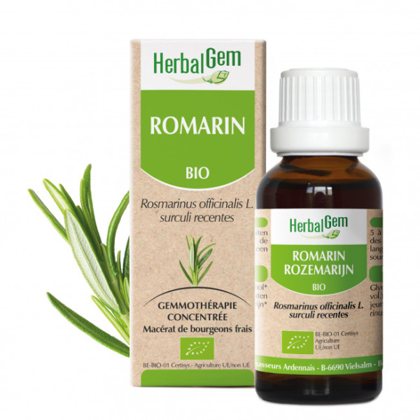 Romarin bourgeon Bio - Rosmarinus officinalis Macérat - 15 ml - Herbalgem - Gemmothérapie - 1