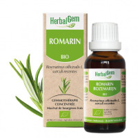 Romarin bourgeon Bio - Rosmarinus officinalis Macérat 30 ml Herbalgem - Gemmothérapie - 2-Extrait de bourgeon de Romarin Bio - 30 ml Herbalgem