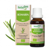 Romarin bourgeon Bio - Rosmarinus officinalis Macérat 30 ml Herbalgem - Gemmothérapie - 2-Biologisch rozemarijnknopextract - 30 ml Herbalgem