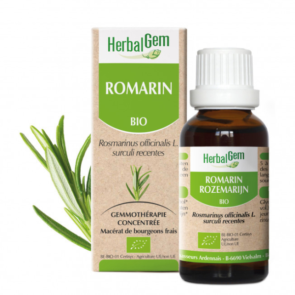 Romarin bourgeon Bio - Rosmarinus officinalis Macérat 50 ml Herbalgem - Gemmothérapie - 2