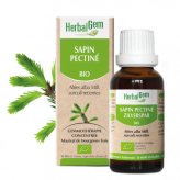 Sapin pectiné bourgeon Bio - Abies alba Macérat - 30 ml  - Herbalgem - Gemmothérapie - 2-Organisch Zilversparrenknoppenextract - 30 ml - Herbalgem