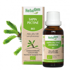 Sapin pectiné bourgeon Bio - Abies alba Macérat - 30 ml  - Herbalgem - Gemmothérapie - 2