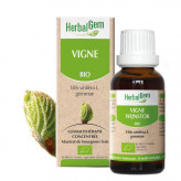 Vigne bourgeon 50 ml Bio - Herbalgem - Les bourgeons unitaires - 1-Extrait de bourgeon de Vigne Bio - 30 ml - Herbalgem