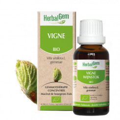 Vigne bourgeon 50 ml Bio - Herbalgem - Les bourgeons unitaires - 1