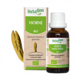 Viorne bourgeon Bio - Viburnum lantana Macérat - 50 ml - Herbalgem - Gemmothérapie - 1