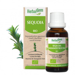 Séquoia Bio - Sequoia gigantea Macérat - 30 ml - Herbalgem - Gemmothérapie - 2