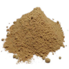 Muira puama - Gebändertes Holz - Ptychopetalum olacoides - Pulver - Heilpflanzenpulver in Großpackungen - 1