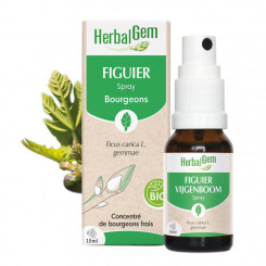 Figuier bourgeon Bio - Ficus carica Macérat - Spray 15 ml - Herbalgem - Gemmothérapie - 1