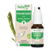 Framboisier bourgeon Bio - Rubus idaeus Macérat - Spray 15 ml - Herbalgem - Gemmothérapie - 1-Extrait de bourgeon de Framboisier Bio - Spray 15 ml - Herbalgem