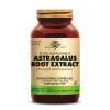 Astragale Extrait standardisé (Astragalus Root extract) 60 capsules végétales - Solgar - Gélules de plantes - 1-Astragale Extrait standardisé (Astragalus Root extract) 60 capsules végétales - Solgar