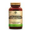 Astragale Extrait standardisé (Astragalus Root extract) 60 capsules végétales - Solgar - Gélules de plantes - 1