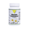 -Grande Camomille Vitall+ Complexe 30 gélules végétales