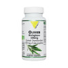 -Olivier (Olea europea) BIO Extrait Standardisé 500 mg 60 gélules - Vitall+