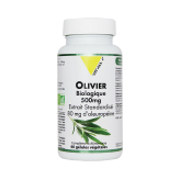 -Bio-Olivenextrakt (Olea europaea), standardisiert, 500 mg, 60 Kapseln – Vitall+