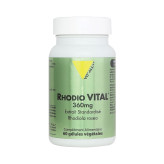 -Rhodio Vital (Rhodiola) Extrait Standardisé 360mg 60 gélules - Vitall+