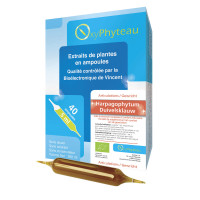 -Harpagophytum (Harpagophytum procumbens) Bio 40 ampoules - Oxyphyteau