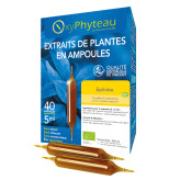 Epilobe (Epilobium parviflorum) BIO 40 ampoules - Oxyphyteau - Extraits de plantes en ampoules  - 1