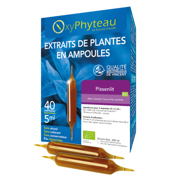 Pissenlit (Taraxacum officinale) BIO 40 ampoules - Oxyphyteau - Extraits de plantes en ampoules  - 1