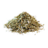 Infusion de Lycope - PC-Tisane Lycope -  Plante coupée