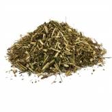 Infusion d'Armoise annuelle Bio - Artemisia annua - PC-Tisane Armoise annuelle Bio - Artemisia annua - Plante coupée