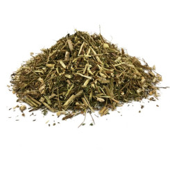 Infusion d'Armoise annuelle Bio - Artemisia annua - PC