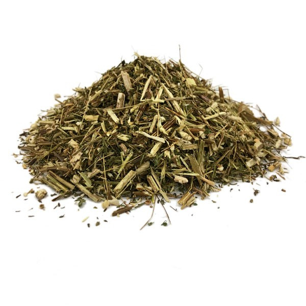 Infusion d'Armoise annuelle Bio - Artemisia annua - PC