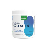 Collagène en poudre hydrolysé à boire - MSM & Sulfate de Chondroïtine 240 g - Saveur Citron - Purasana - Complément alimentaire -Collagène en poudre hydrolysé à boire - MSM & Sulfate de Chondroïtine 240 g - Saveur Citron - Purasana