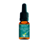 Pine 10 ml - N° 24 -  Fleur de Bach Bio - Ladrôme - Les Fleurs de Bach Original - 1