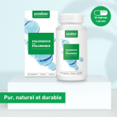  - Vieillissement - Antioxydants  - 5